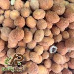 بادام زمینی روکش دار آجیل پلاس