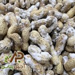 بادام زمینی غلاف دار شور آجیل پلاس