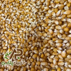 ذرت پاپ کورن خام آجیل پلاس