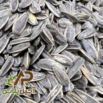 تخمه دور سفیدی شور آجیل پلاس