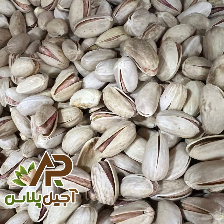 پسته خام اکبری