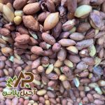 مغز بادام زمینی کپسولی آجیل پلاس