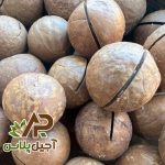 ماکادمیا آجیل پلاس
