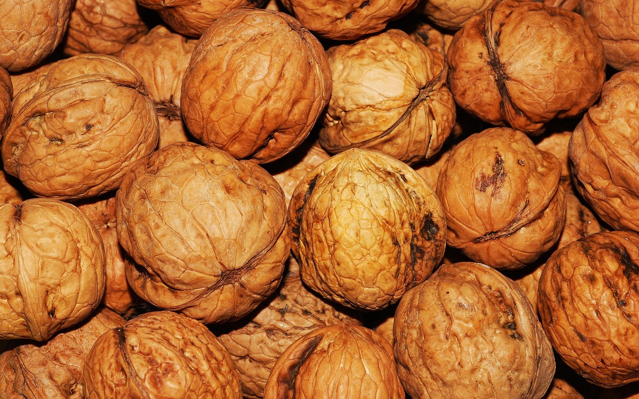 بهترین گردو برای خرید